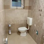 Διαμέρισμα Apartmaji Divji Vrt