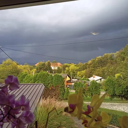 Apartmaji Divji Vrt * Lendava